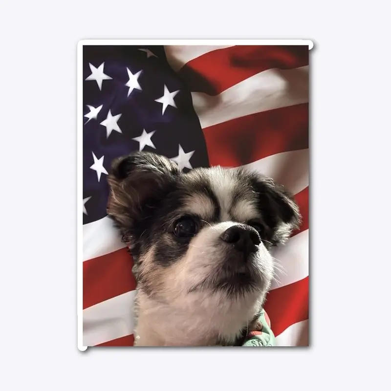 America’s Doggy/Jack-Jack 2024